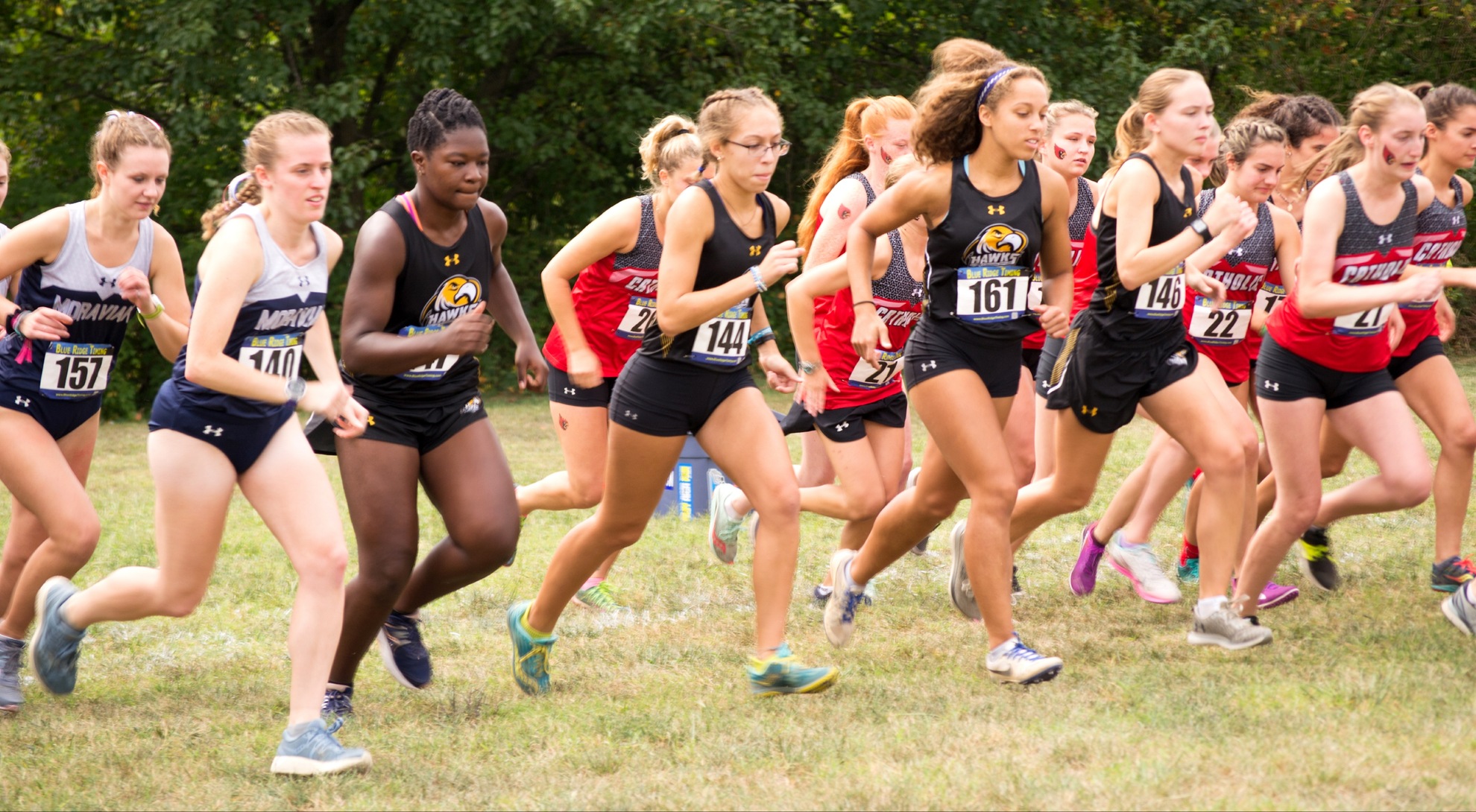 Four Run for Women’s Cross Country Team at Cardinal Classic